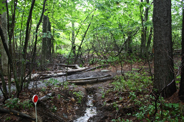 SmallCulvert